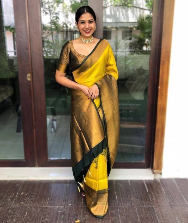 Soft Silk 4060 Soft Lichi Silk Fancy Saree Catalog Collection