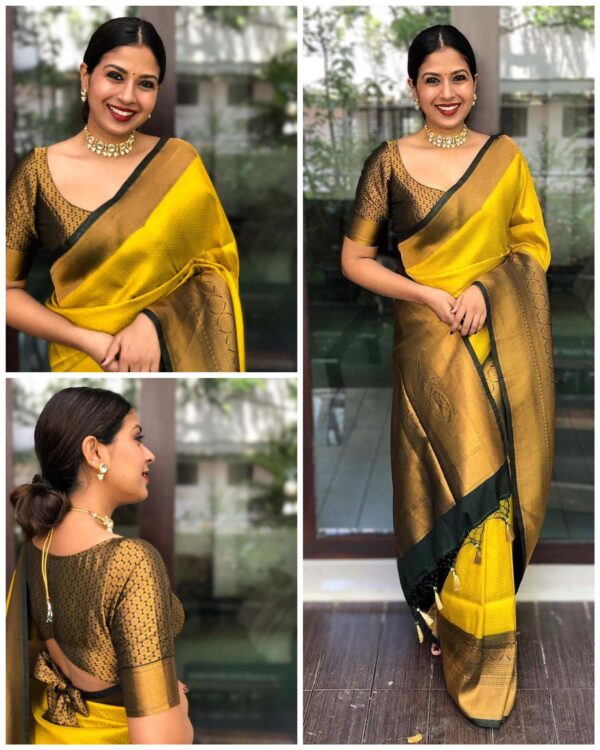 Soft Silk 4060 Soft Lichi Silk Fancy Saree Catalog Collection - Image 6