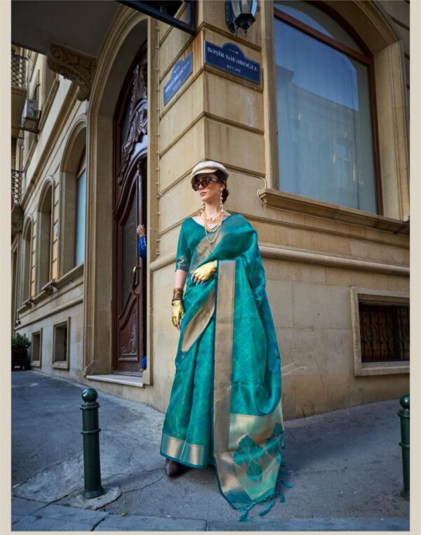 Rajtex Kalki Handloom Two Tone Organza Weaving Saree Catalog Collection - Image 6