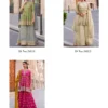 Zara Hit 1 Stylish Designer Shimmer Salwar Suits Catalog Collection - Image 4