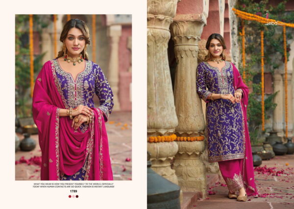 Eba Sangit Chinon Embroidered Ready Made Suits Catalog Collection Wholesale - Image 5