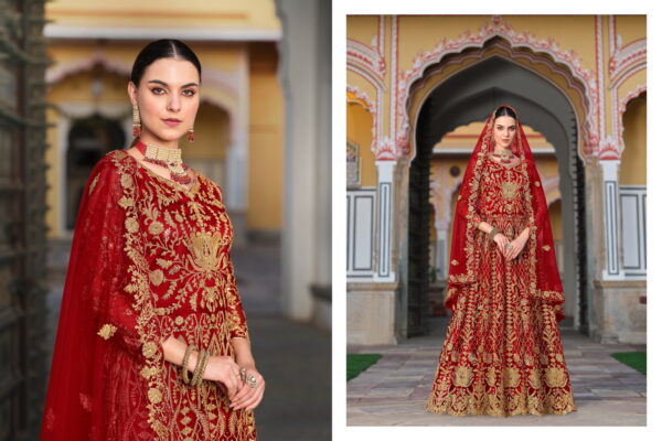 Senhora Mehbooba Vol 1 Designer Embroidered Net Gown Catalog Collection - Image 2