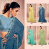 Sirona Shamika Kiwi Chiffon Fancy Saree Catalog Collection Wholesale - Image 8
