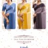 Sethnic Veyora Ombre Dyed Crepe Dual Tone Stone Work Saree Catalog Collection Wholesaler - Image 5