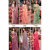Kashvi Silver Stone Vol 17 Nylon Cationic Fancy Saree Collection Catalog Wholesale Exporter - Image 8